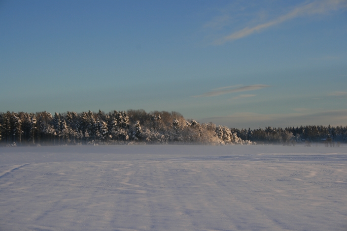 Nordischer Winter in Dalsland